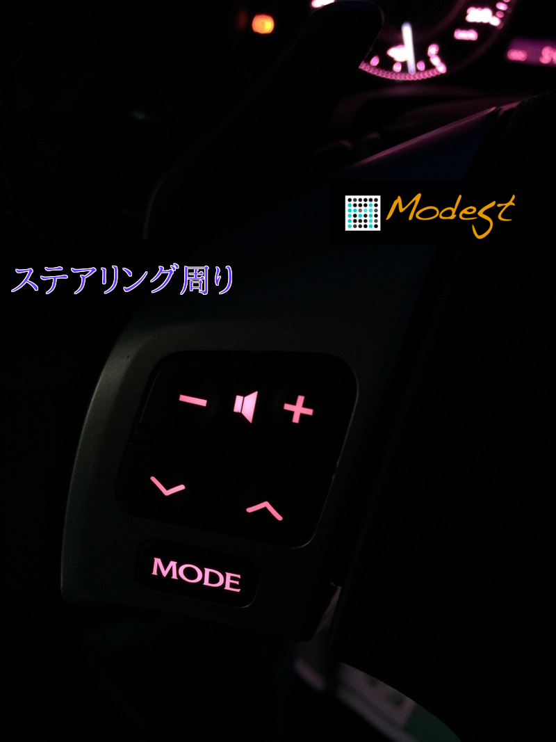 レクサス打ち替え
