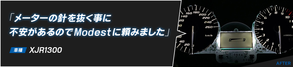 「メーターの針を抜く事に不安があるのでModestに頼みました」